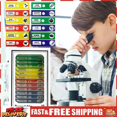 Kids Science Microscope Lab LED Light 60-120x Battery Powered Kids Science Toy S