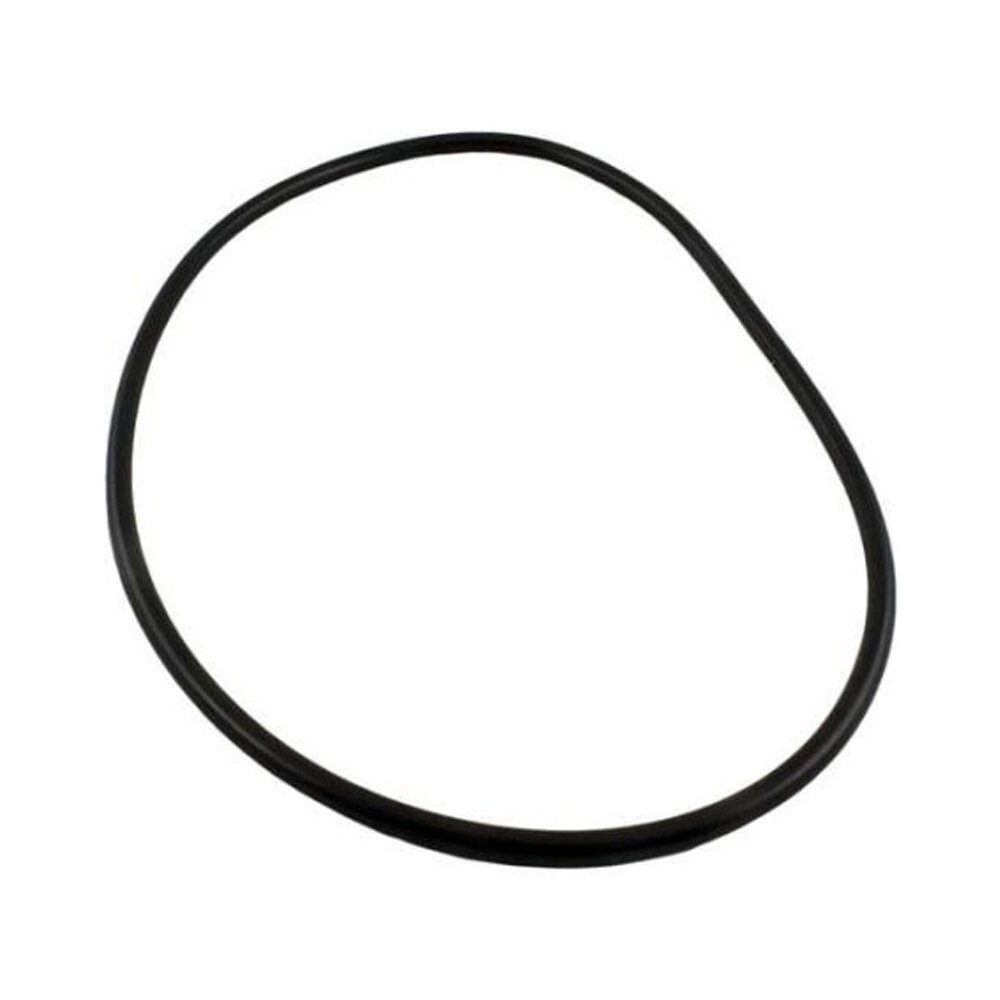 Waterway Plastics Pro Clean Filter Lid O-Ring 805-0448B