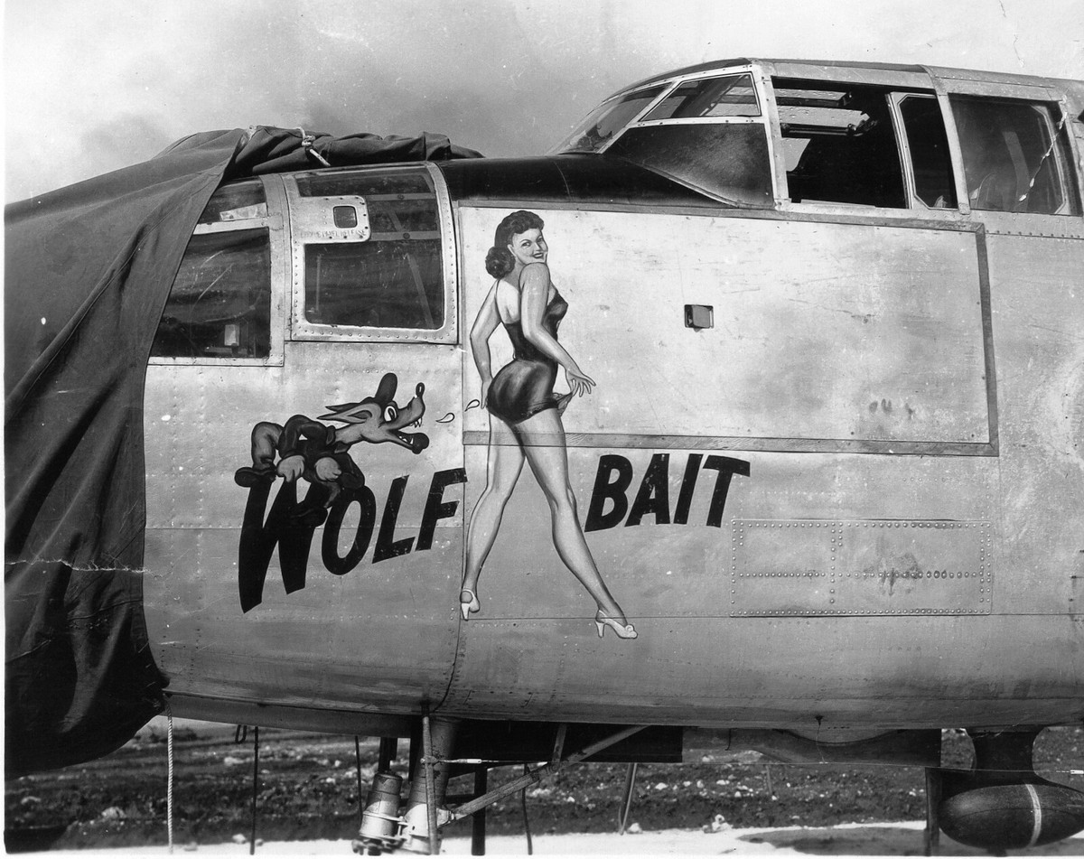 USAAF B25 Bomber Nose Art Wolf Bait WW2 WWII 5x7 | eBay