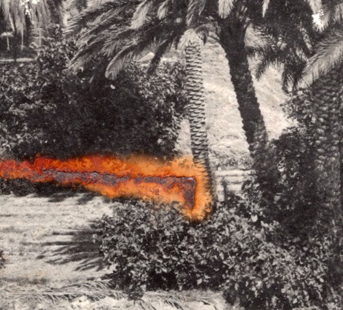 Algeria Bou Saada Oasis Scene old Photo Prouho 1930 - Picture 2 of 4