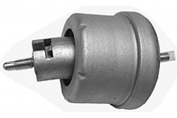 Mapco Motorlager 36763 FüR CC Vectra J96 Opel Caravan F19 16V F35 F68-image