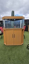 Juwel Trigon 190 Corner Fish Tank with Cabinet Stand and Filter with heater 