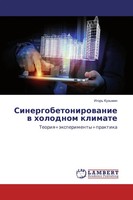 Igor' Kuz'min | Sinergobetonirowanie W Holodnom Klimate | Taschenbuch | Russisch