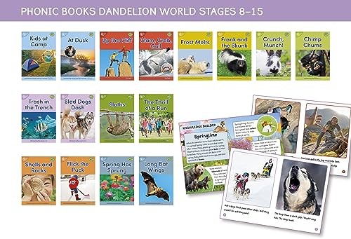 Phonic Books Dandelion World Stages 8-15 by  Phonic Books - 9780241666708 - Image 7