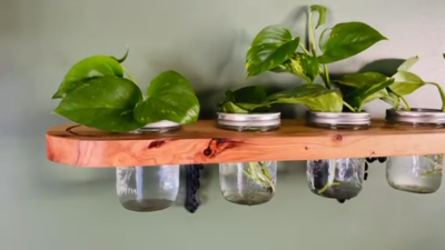 Plant Propagation Wall Shelf with Mason Jars, Propagation Station | eBay