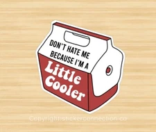 Little Cooler Hate Me vinyl decal sticker for laptops, hydroflask, toolbox