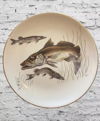 Teller Vintage Fisch, Raubfisch, Hecht Lord Nelson Ware, Brittania