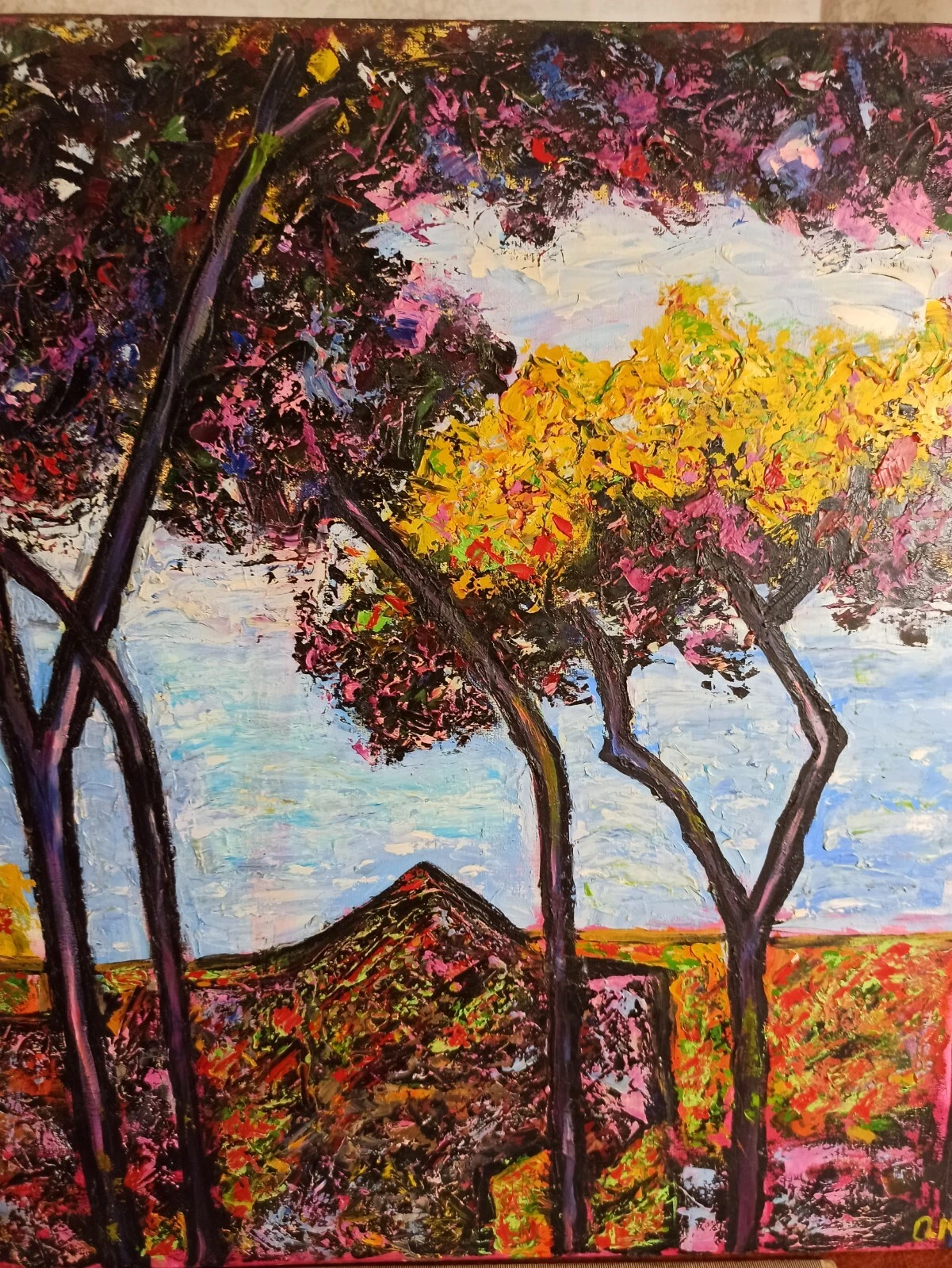 Picture 6 of 12