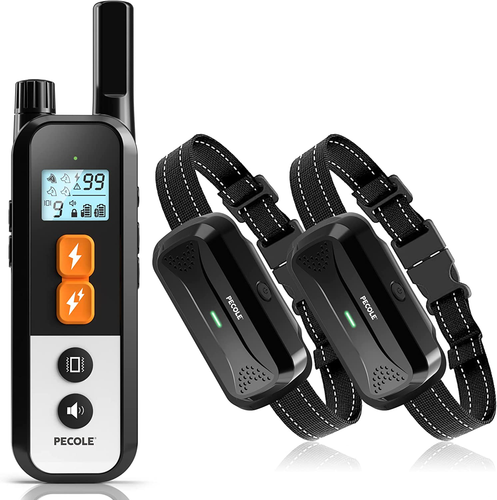 large dog shock collar with remote