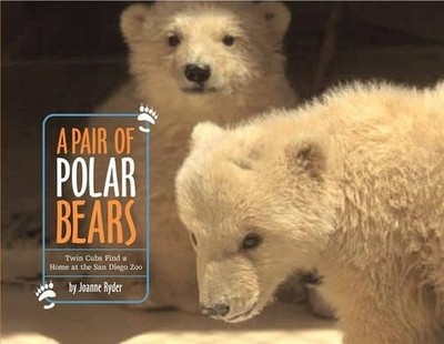 Joanne Ryder A Pair Of Polar Bears: Twin Cubs Find a Home at the San  (Hardback)