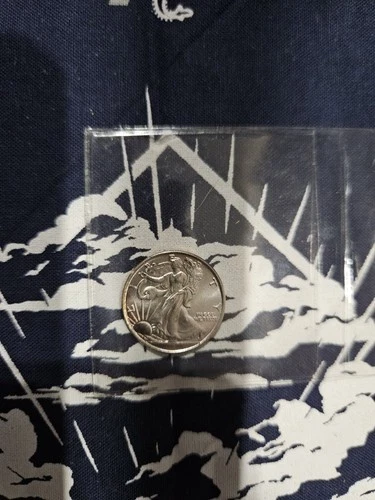 2x 1/10th oz .999 Fine Silver Round Walking Liberty Design