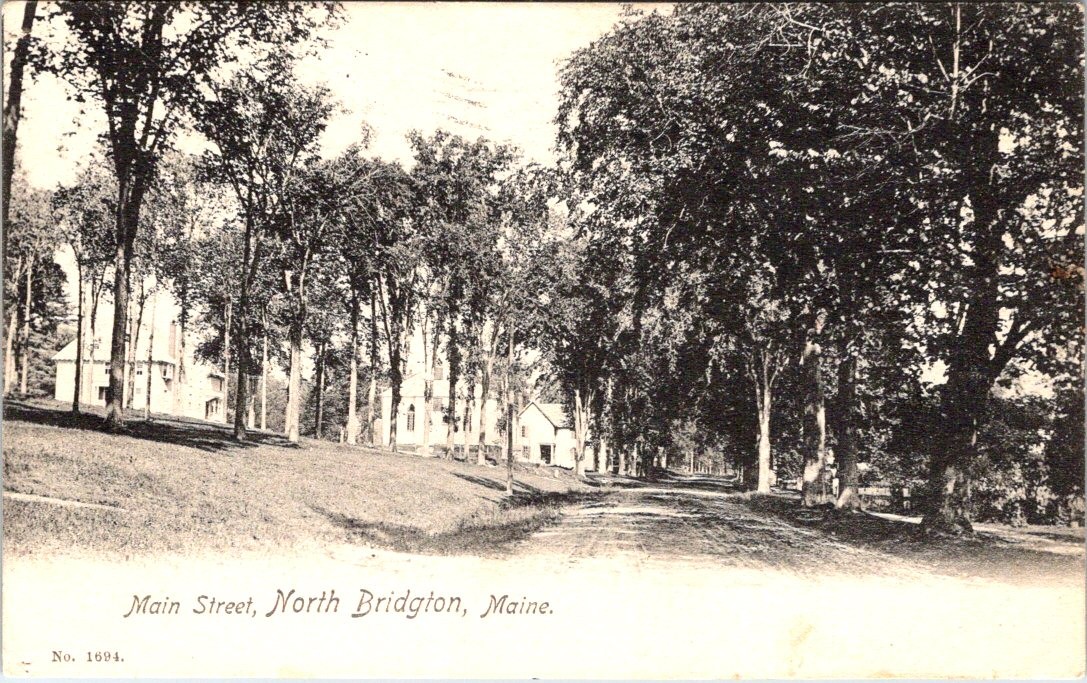 1905, Main Street, BRIDGTON, Maine Postcard