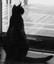 misterbean210