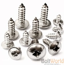 NO.6 POZI FLANGE SELF TAPPING SCREWS A2 STAINLESS STEEL FLANGED TAPPERS