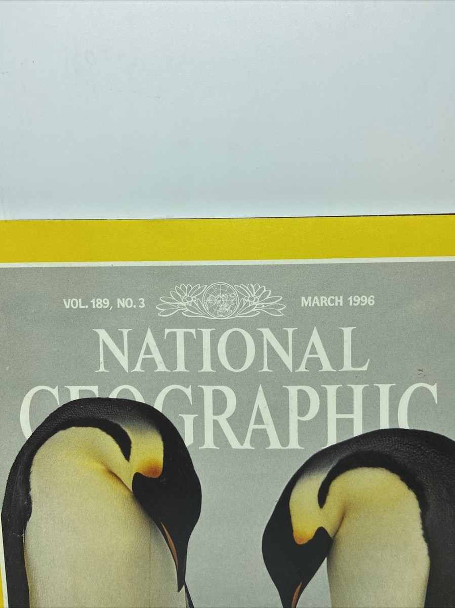 【NATIONAL GEOGRAPHIC】リップルスライド★送料・関税込★3色 Amazon.com : MNVCZXC Fountain Pen Retractable: 0.38mm