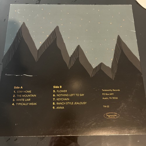 Economy Island – Economy Island LP VG+/VG+ 2016 Twistworthy TW-22 Alt Rock US - Picture 4 of 12