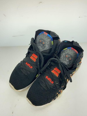 Nike Lebron 17 29Cm Multicolor CUG47 | eBay