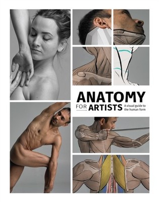 Anatomy for Artists: A visual guide to the human  by 3dtotal Publishing HARDBACK