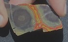 COSMIC MORGAN HILL POPPY JASPER BRIGHT STRANGE SLAB TRIM 8.4 GRAMS 42.3 CARATS — photo 3