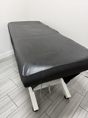 #ad Earthlite Ellora Electric Lift Massage Table 30 Inch Wide $1100.00