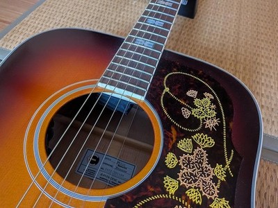 Epiphone Masterbilt Frontier FT110 | eBay