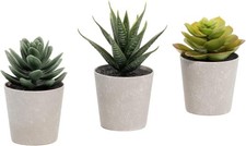 Artificial Potted Succulent Plants for Home or Office Decor (Set of 3)