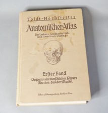 1927 Human Anatomy Atlas Skull Ferdinand Hochstetter Ilustrated Medicine Book