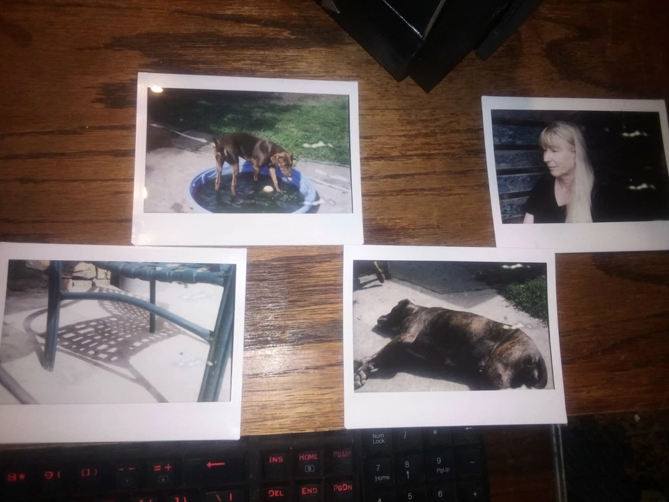 COMPLETAMENTE REVERSIBLE Polaroid 110, 110a, 110B, 120 a Instax kit de conversión ancho Foto 2 de 4