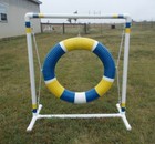 dog agility equipment mini tire jump