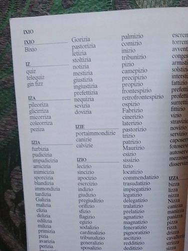 Rimario della Lingua Italiana , come nuovo - Foto 5 di 5