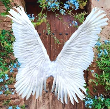 White Large Feather Butterfly Fairy Angel Wings Halloween Costume Party Halo