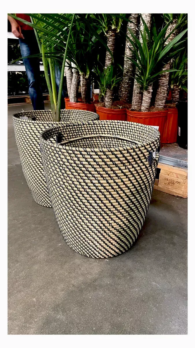 RÅGKORN Plant pot, indoor/outdoor natural, 12 ½ - IKEA