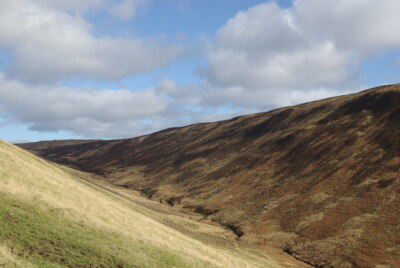Photo 6x4 Gleann Easbuig Showing the contrast in vegetation between the n c2009