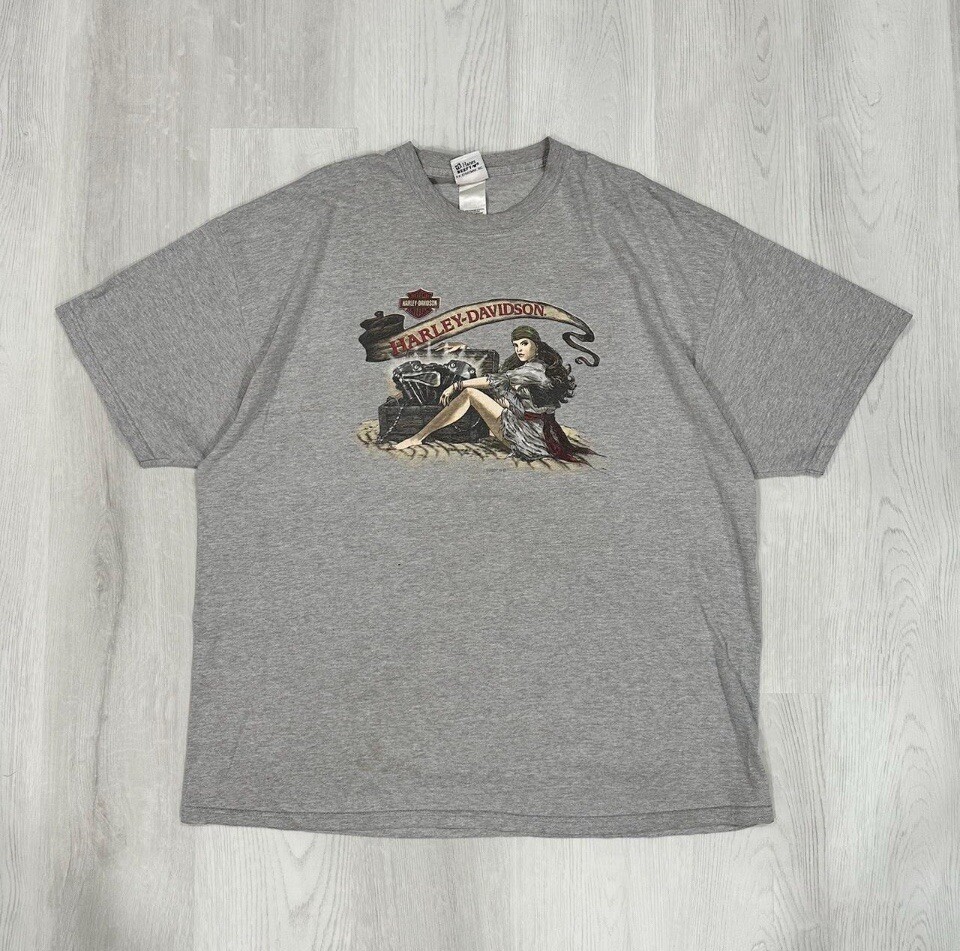 2007 Devil Mountain Harley Tee - image 1