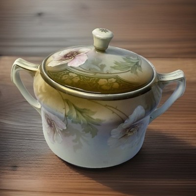 RS Reinhold Schlegelmilch Germany Hand Painted Floral Lidded Biscuit Jar Sugar