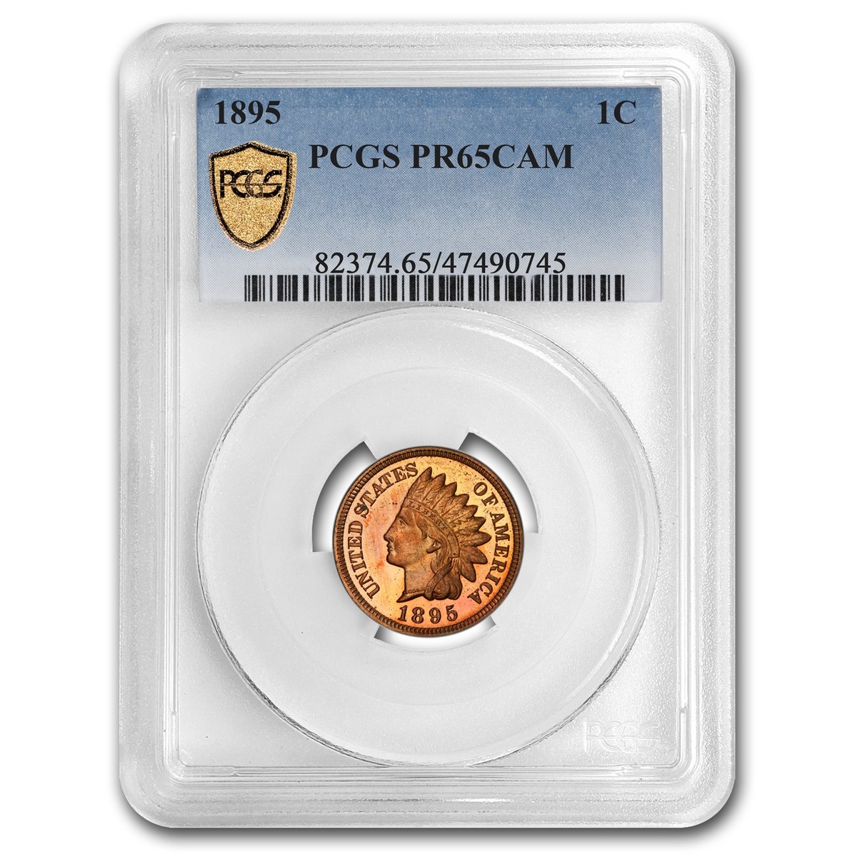 ヴィンテージ　インゴッド 1895 Indian Head Cent PR-65 Cameo PCGS (Red) | eBay