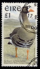 IRELAND QEII SG1060, 1997 Greenland white fronted Goose, FINE USED