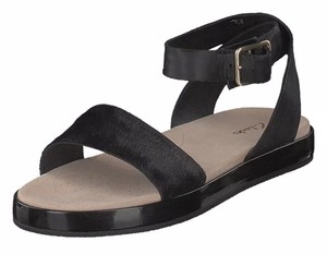 botanic ivy clarks black