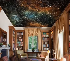 3D Funny Universe G4251 Ceiling WallPaper Murals Wall Print Decal Deco Erin 2023