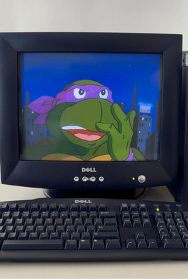 2004 Dell E773C 17in CRT Color Computer Monitor Retro Gaming Y2K Black ...