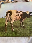 Pink Floyd 1970 Atom Heart Mother