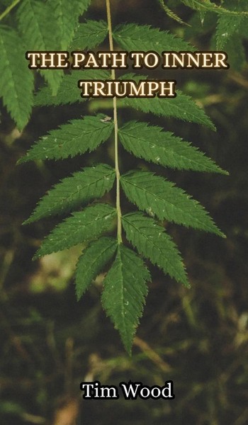 Tim Wood | The Path To Inner Triumph | Buch | Englisch (2024)-image