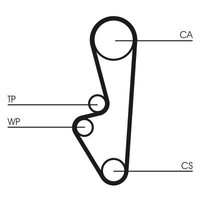 Continental Ctam Zahnriemen CT798 FüR Porsche