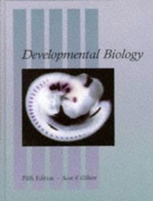 Developmental Biology von Gilbert, Scott F. | Buch | Zustand akzeptabel