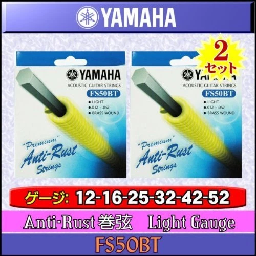 YAMAHA Yamaha FS50BT x2 set anti rust strings acoustic guitar strings