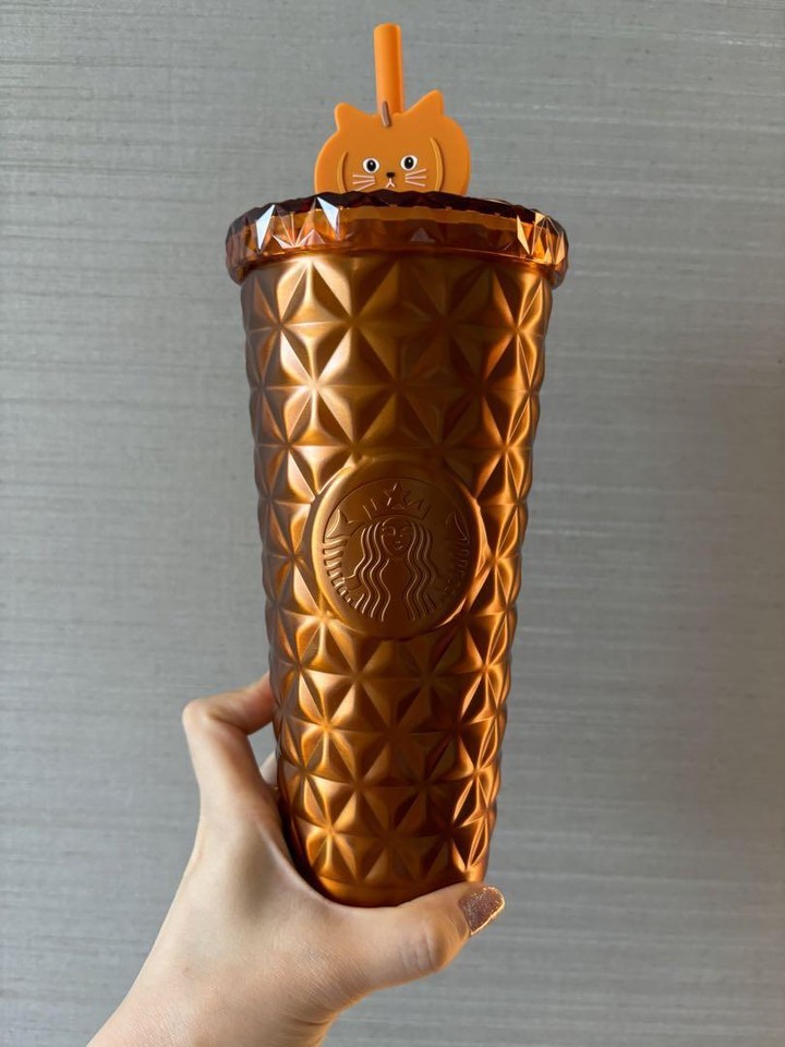 Starbucks Dion 2024 Halloween Tumbler Cat eBay