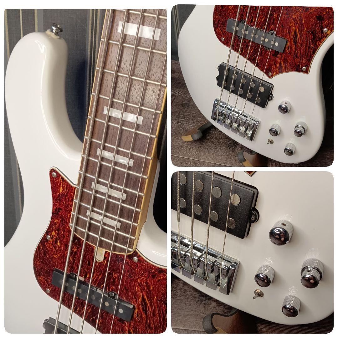 Cort GB75 5-String Active Electric Bass Guitar with Gig Bag