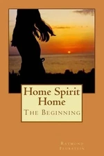 Home Spirit Home: The Beginning (Color Edition) by Christine Wilson (English) Pa
