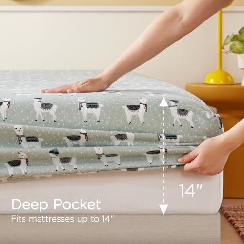 Flannel Sheets Size 4 Pieces Ultra Soft Flannel Sheet Set, Queen Foamy