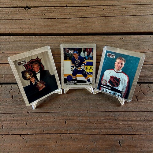 Brett Hull #290 card
